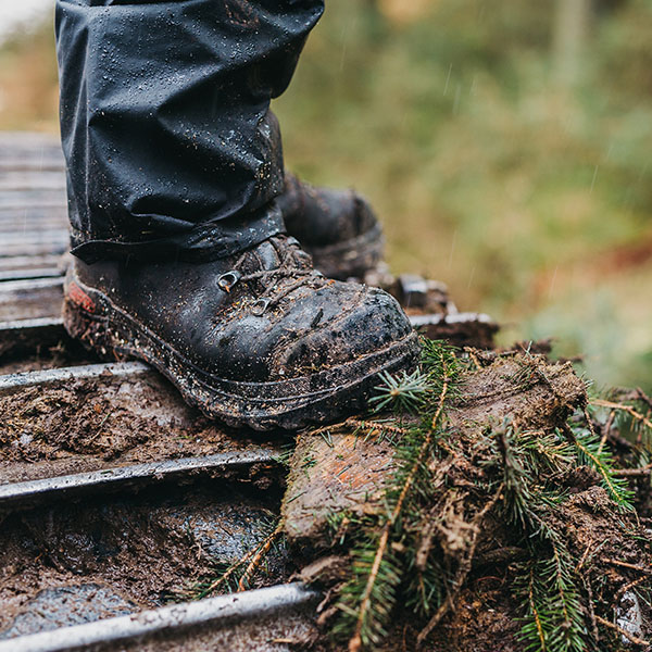 Irving-Timber Felling