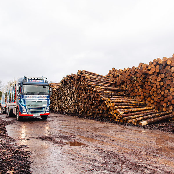 Irving-Timber HuttonRoof