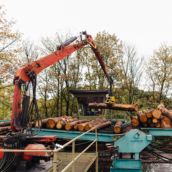 Irving-Timber HuttonRoof