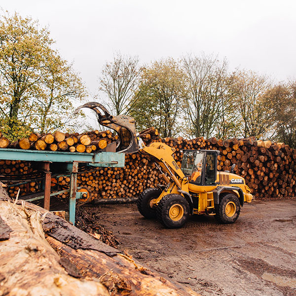 Irving-Timber HuttonRoof