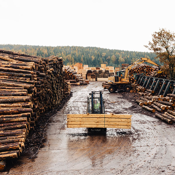 Irving-Timber HuttonRoof