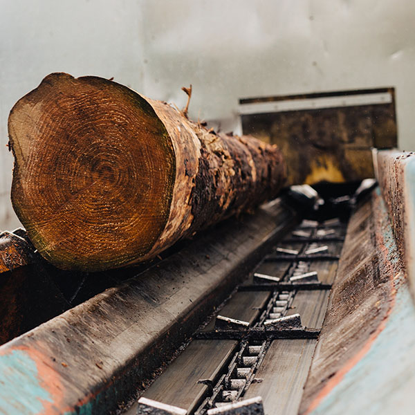 Irving-Timber HuttonRoof