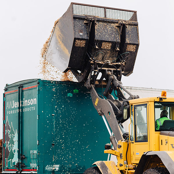 Irving-Timber Biomass