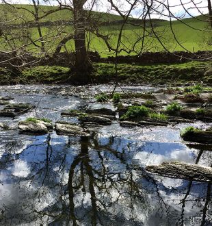 Tree planting and reducing flood risks: Confor calls for greater ambition