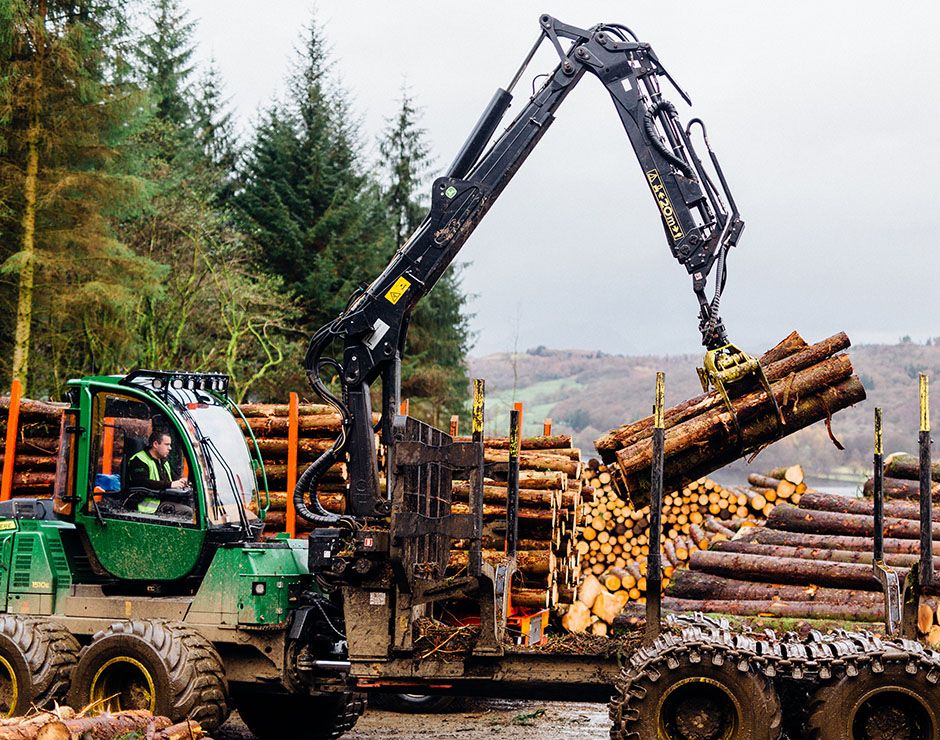 Gathering Felled Timber